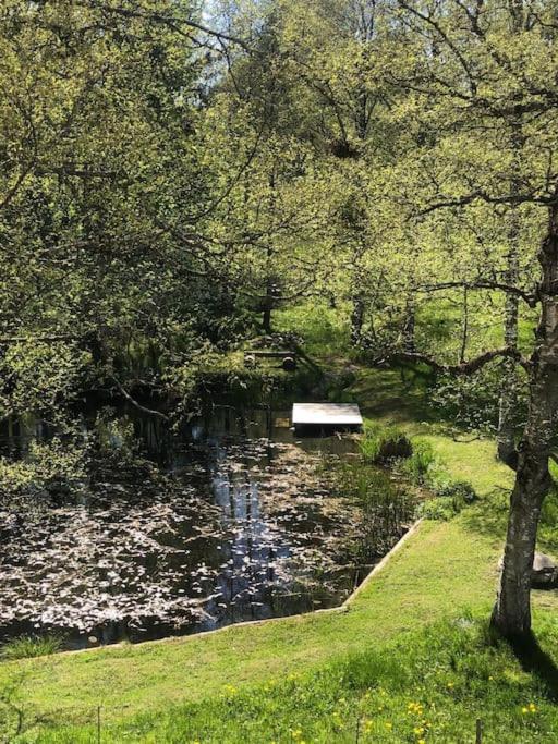 Exklusives Apartment Mit Schwimmbad Im Allgaeu Oy-Mittelberg Exterior foto